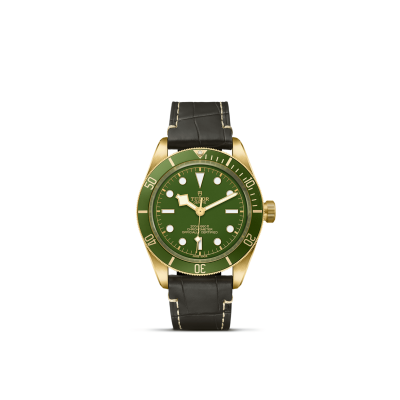 Tudor / Black Bay 58