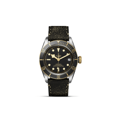 Tudor / Black Bay